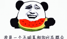 九尾爆料吃瓜被骂,网络舆论的狂欢与反思